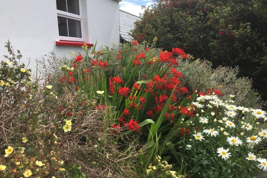 Red Stonecutters Cottage, Doolin Carrowauff Εξωτερικό φωτογραφία